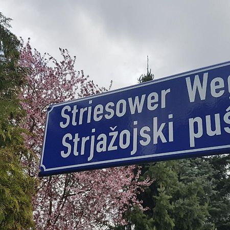 2 Raum Gartenwohnung am Spreewaldradweg in Cottbus Exterior foto